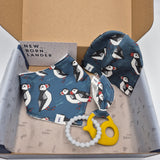 Gift Box Blue Puffin