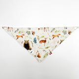 Bandana Bib (Woodland Storybook )