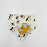 Bandana Bib and Silicone Teether Gift Set
