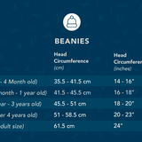 Adult Beanie Hat (Christmas Santa's Other Ride)