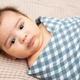 Swaddle 2 Pack (Navy Gingham & Fish)