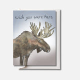 Wish You Were Here - Sarah Duggan Creative Works