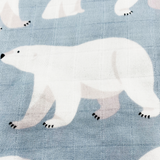 Swaddle (Polar)
