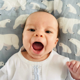 Swaddle (Polar)