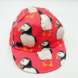 Baseball Cap (Coral Puffin)